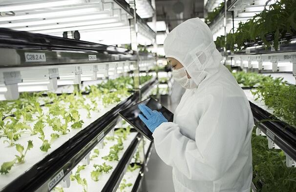 職業(yè)健康安全 職業(yè)健康安全