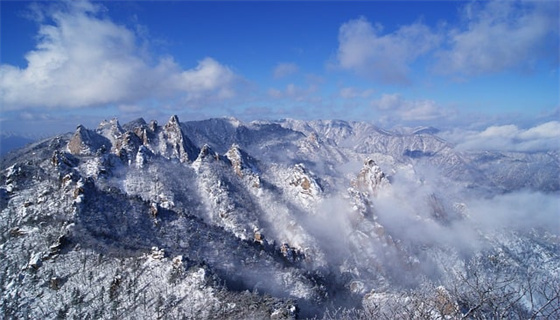 風力發(fā)電場安全規(guī)程的管理現(xiàn)狀？