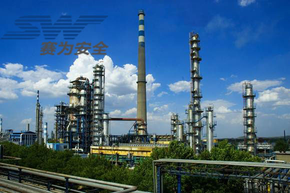 論大型乙烯項(xiàng)目建設(shè)HSE管理