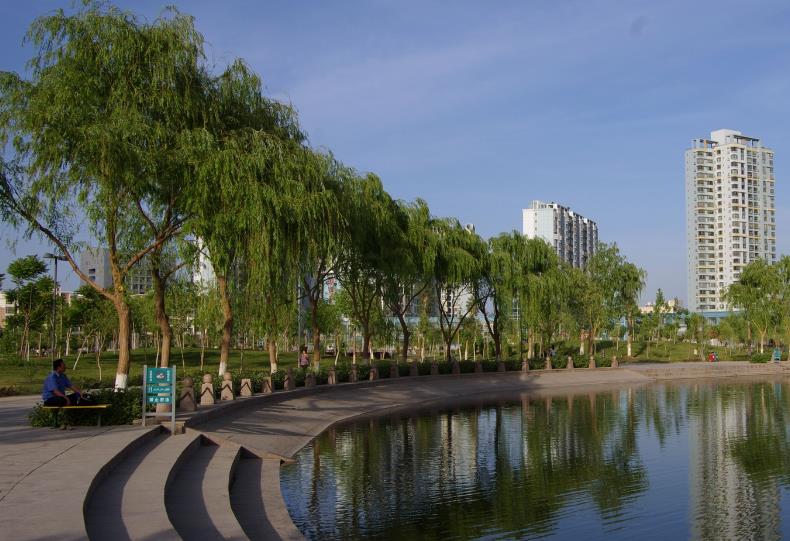 突如其來的HSE考試 突如其來的HSE考試