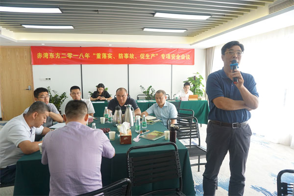 赤灣東方董事長秦總做總結性發(fā)言 赤灣東方董事長秦總做總結性發(fā)言